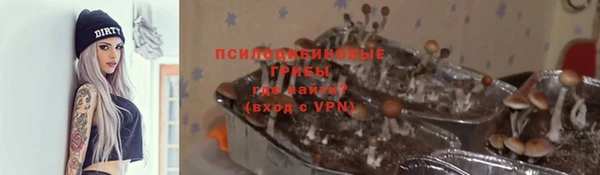 ешки Алзамай