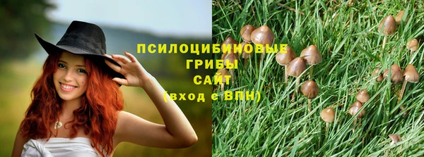ешки Алзамай