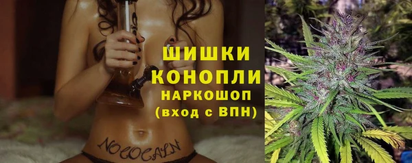 ешки Алзамай